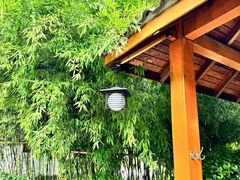 -郑州银基黄帝宫御温泉