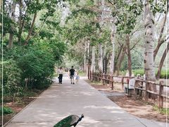 -北京麋鹿生态实验中心