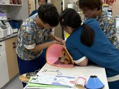 -康成宠物医院24H·CT·核磁共振