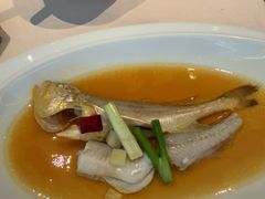家烧野生黄鱼年糕-新荣记(湾仔店)