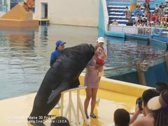 -秦皇岛乐岛海洋王国