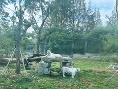 -上海野生动物园