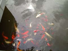 -渔堂公园餐厅·本帮菜(乐园路店)