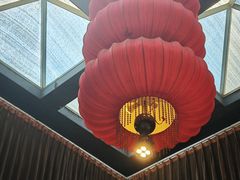 -花菇朵·云山雀 ll 野生菌火锅·精品云南菜(万柳店)