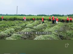 -裕和堂中医推拿艾灸(太古汇臻品店)