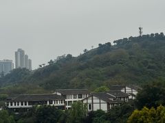 -张坝桂圆林公园