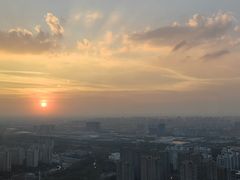 -嘉定凯悦·咖啡厅