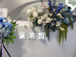 -黛莱皙护肤美妆