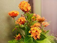 -忆家名门·上海菜(徐家汇店)