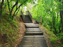 -帽儿山国家森林公园