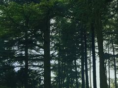 -陕西师范大学(雁塔校区)
