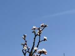 -京东石林峡风景区