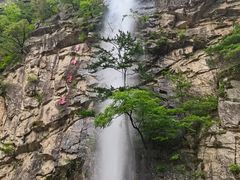 -青峰峡国家森林公园