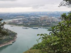 -铁山坪森林公园