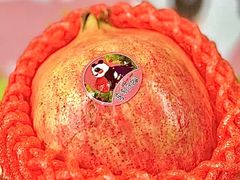 -ALDI奥乐齐超市(杨浦延吉店)