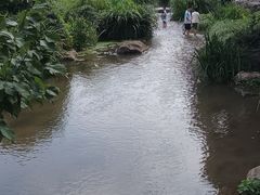 -中国茶叶博物馆(双峰馆区)