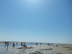 -北海金海湾红树林生态旅游区