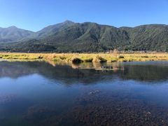 -腾冲北海湿地