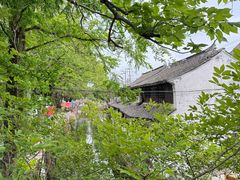 -练塘古镇