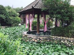 -观唐（国际）度假村温泉
