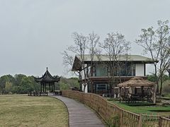 -南湖湿地公园