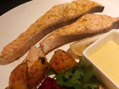 -Efes Turkish & Mediterranean Cuisine 艾菲斯餐厅(陆家嘴店)