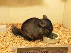 -龙猫仔乐园(惠福东路店)