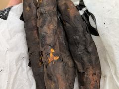 -西部长青自然儿童乐园