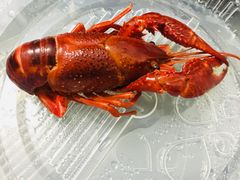 -0574龙虾的故事(东裕店)