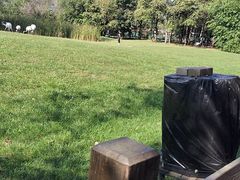 -沈阳鸟岛
