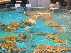 -徐记海鲜(梅溪新天地店)