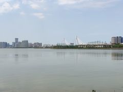 -万绿园