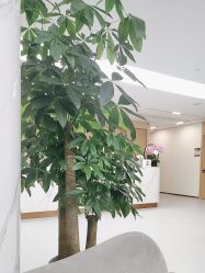 -上海伊莱美医疗美容医院