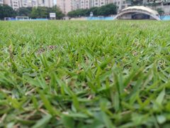 -佛山市第一中学