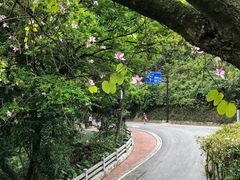 -广州市白云山风景名胜区