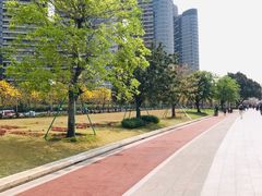 -洲头咀公园