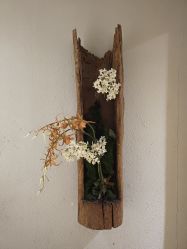 -香秀空间科技抗衰·美容中心