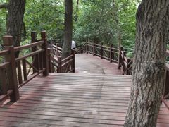 -紫金山山顶公园