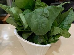 菠菜-鼎尊锅物料理(五角场店)