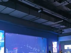 -重庆欢乐海底世界
