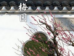-无锡梅园公园
