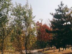-莫子山公园