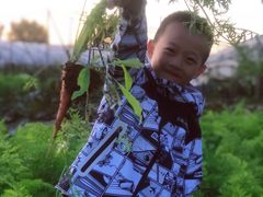 -庞各庄翠芳园西瓜蔬菜基地采摘园