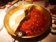 -小龙翻大江文化火锅(宽窄店)