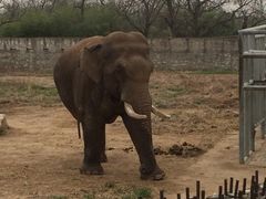 iphone_upload_pic-西安秦岭野生动物园