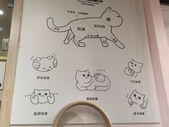 -爪爪喵星球·猫舍(卓悦中心店)