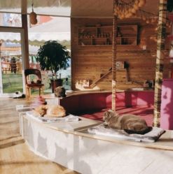 -萌宠亲子动物乐园(槐房万达店)