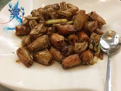 -东豪园林海鲜酒家(南港路辅路店)