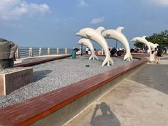 -小麦岛公园