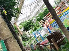 -南宫五洲植物乐园